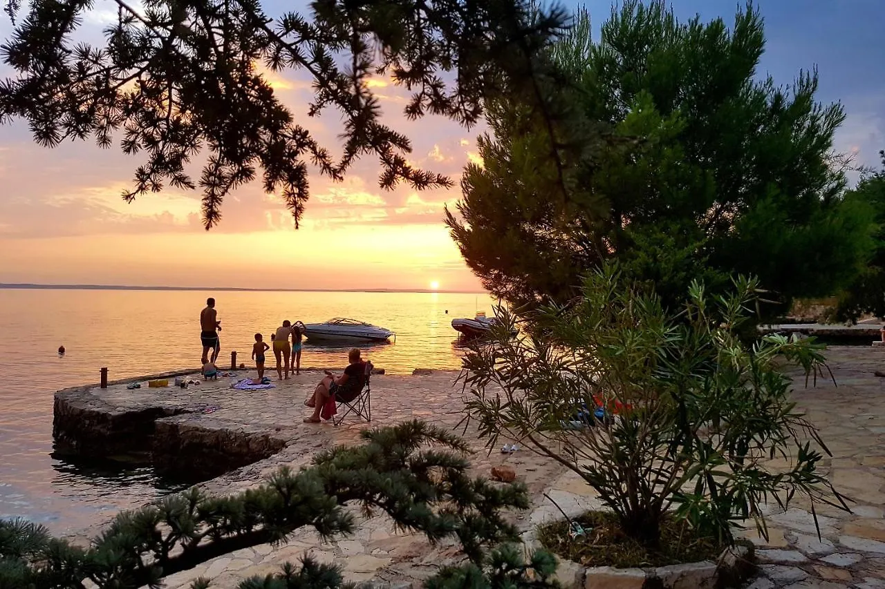 Apartments And Rooms By The Sea Starigrad, Paklenica - 6591 بيت ضيافة